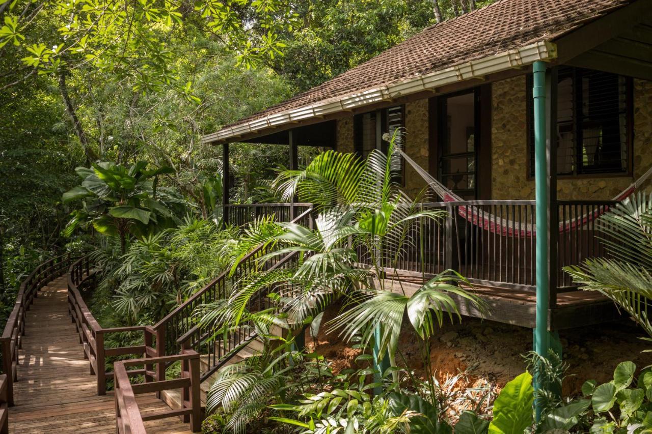 Sweet Songs Jungle Lodge San Ignacio Exteriér fotografie