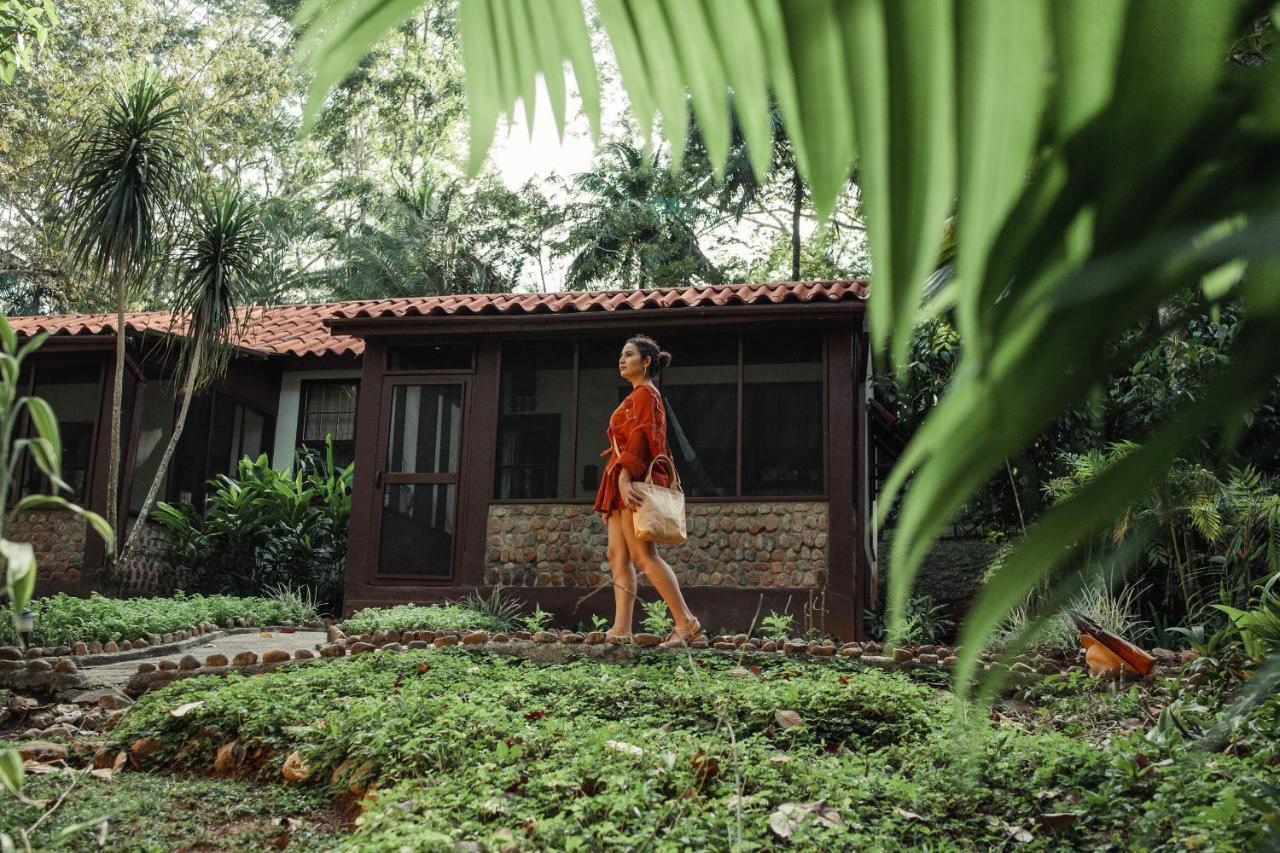 Sweet Songs Jungle Lodge San Ignacio Exteriér fotografie