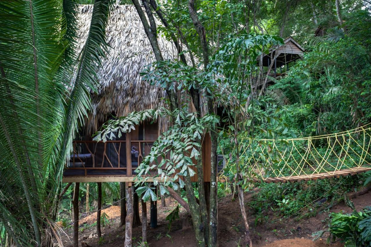 Sweet Songs Jungle Lodge San Ignacio Exteriér fotografie