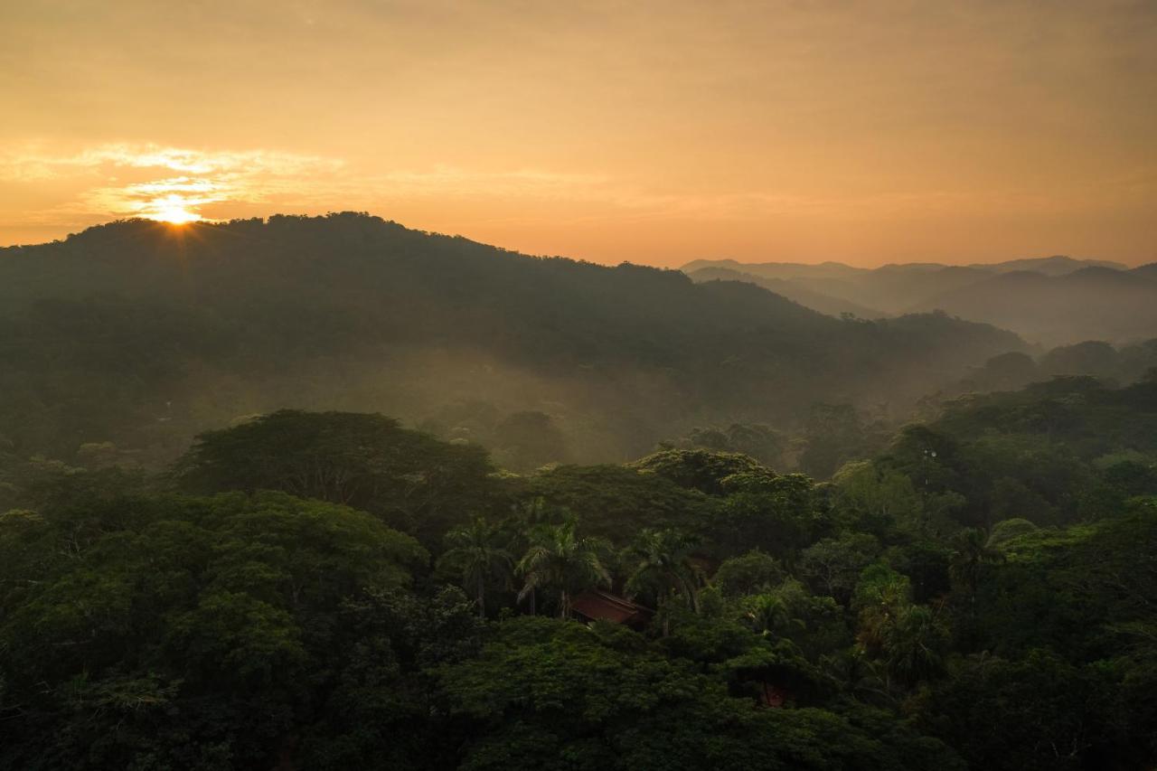 Sweet Songs Jungle Lodge San Ignacio Exteriér fotografie