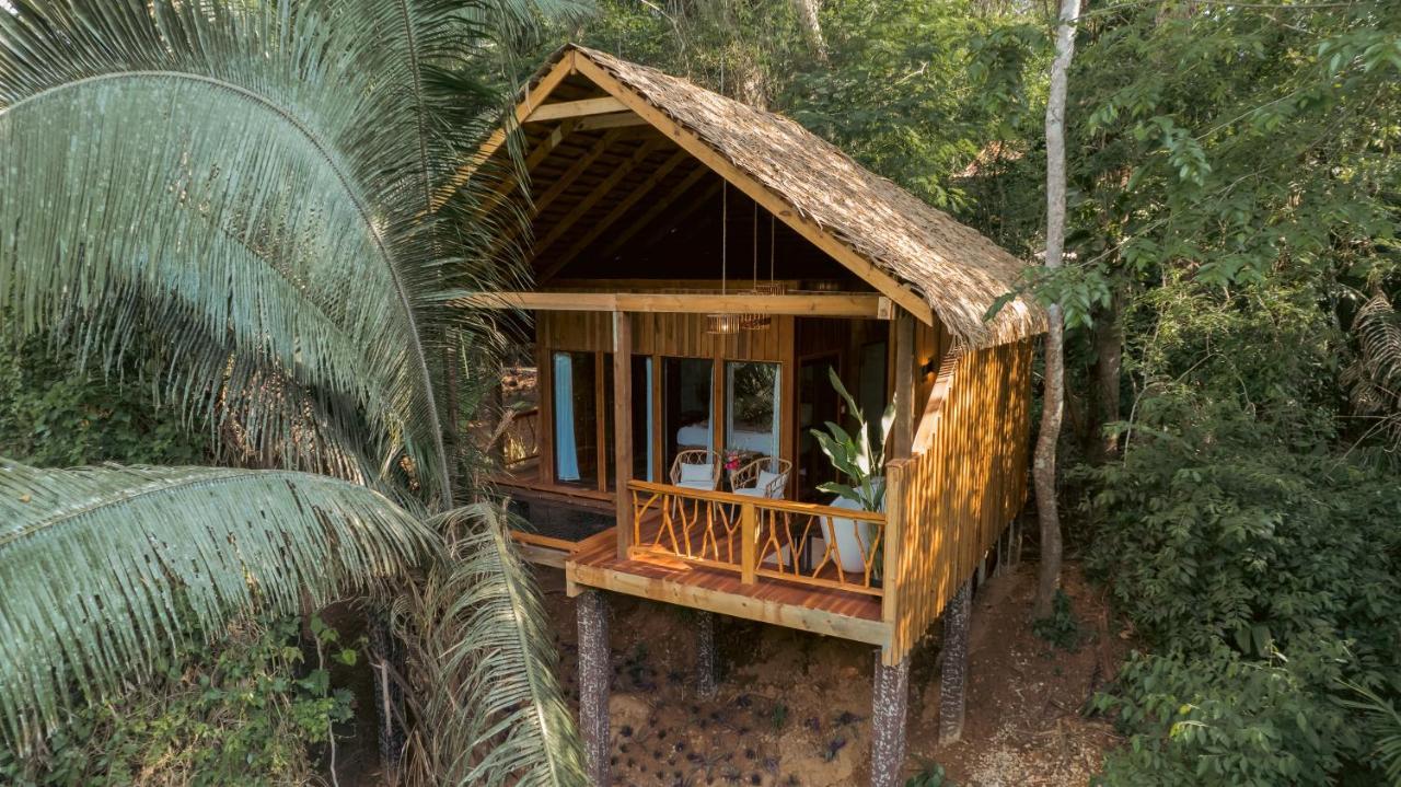 Sweet Songs Jungle Lodge San Ignacio Exteriér fotografie