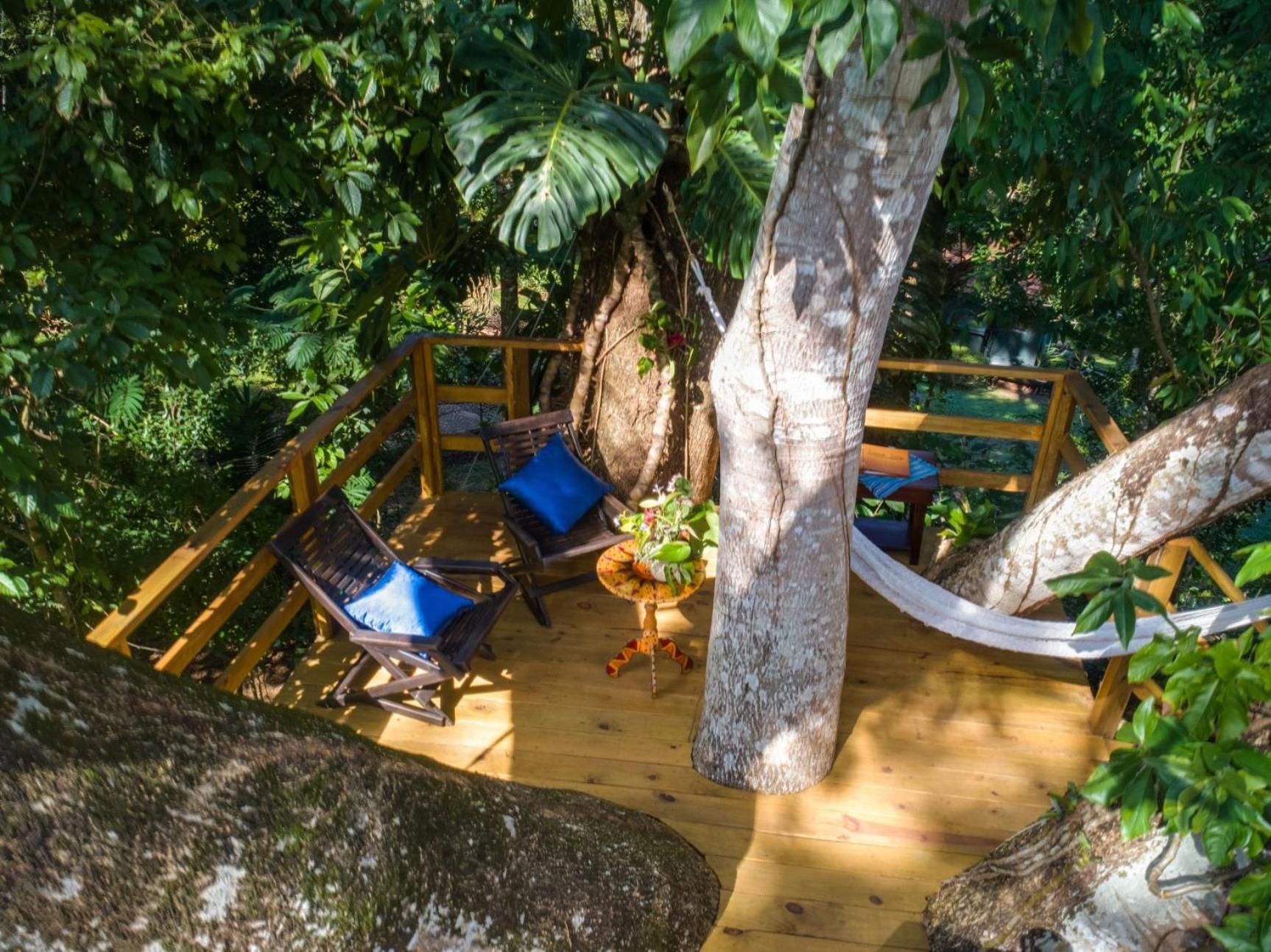 Sweet Songs Jungle Lodge San Ignacio Exteriér fotografie