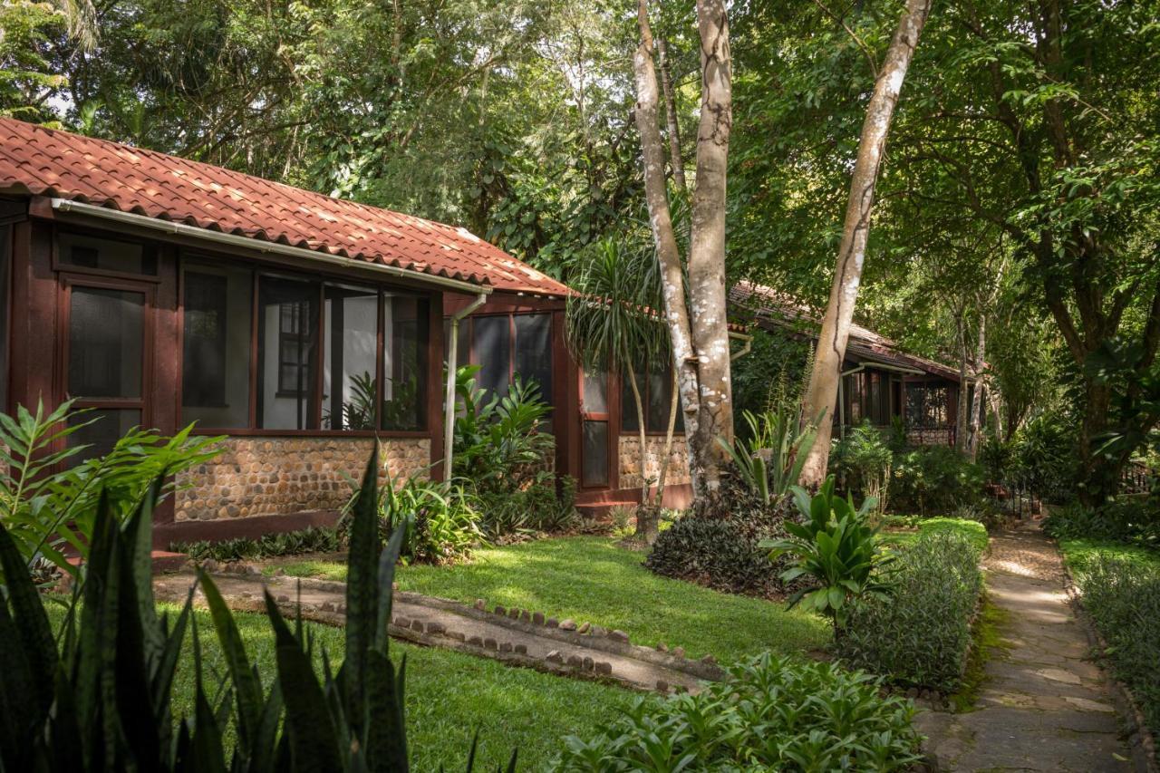 Sweet Songs Jungle Lodge San Ignacio Exteriér fotografie