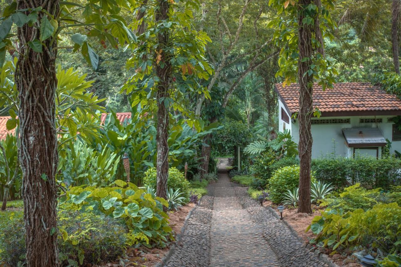 Sweet Songs Jungle Lodge San Ignacio Exteriér fotografie