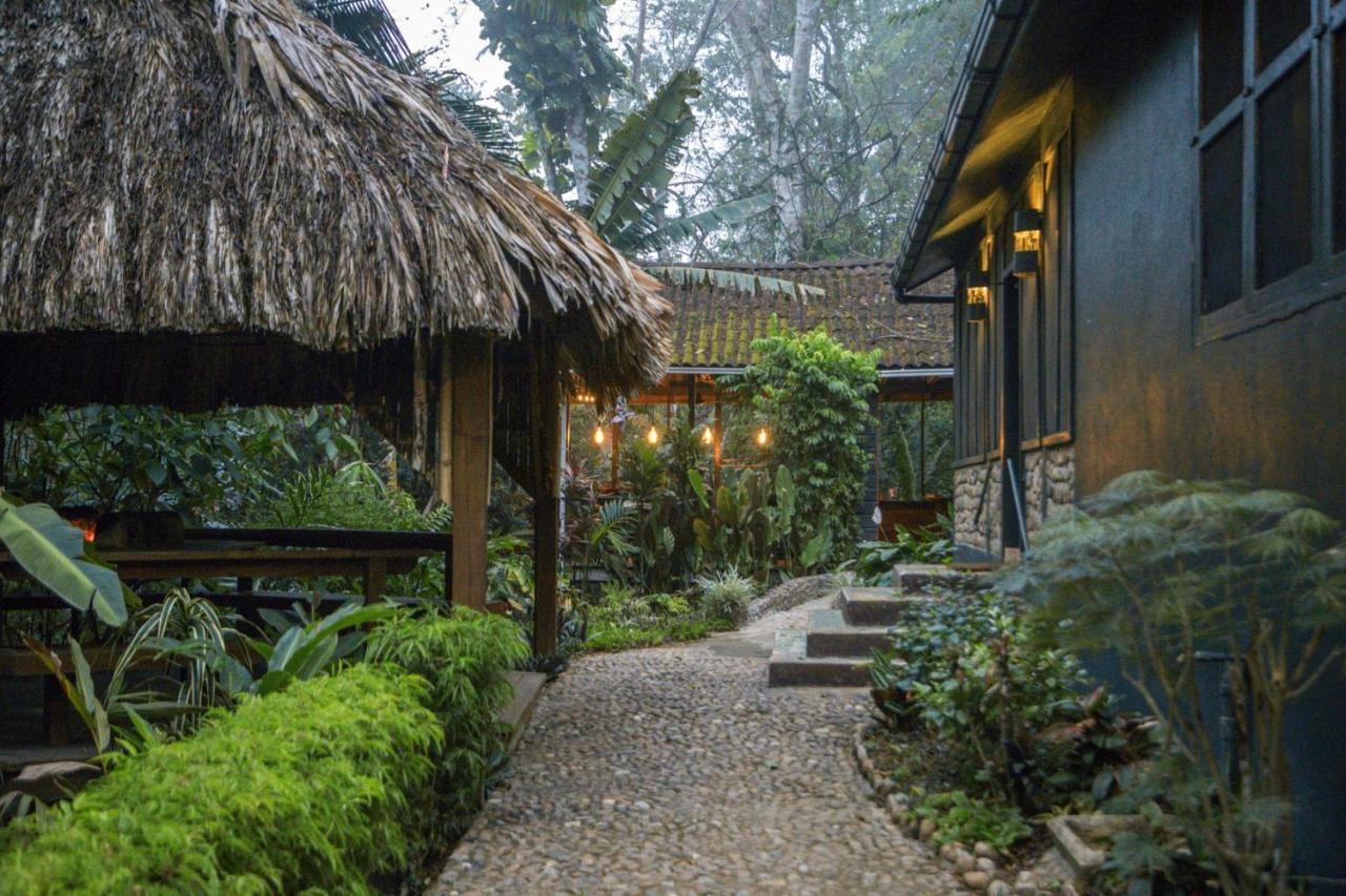 Sweet Songs Jungle Lodge San Ignacio Exteriér fotografie